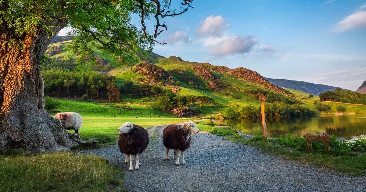 AIWithWords - Lake District Named World's Happiest Travel Destination